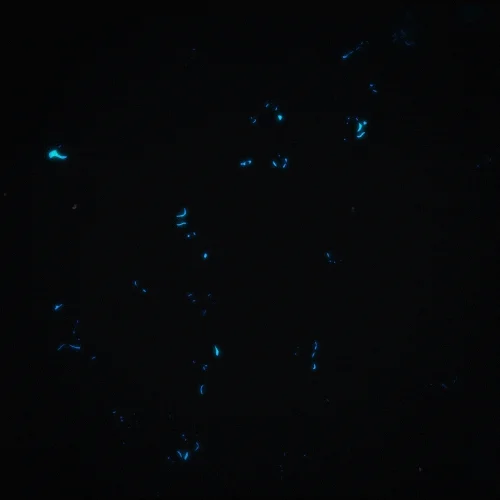 A gif of a person dancing